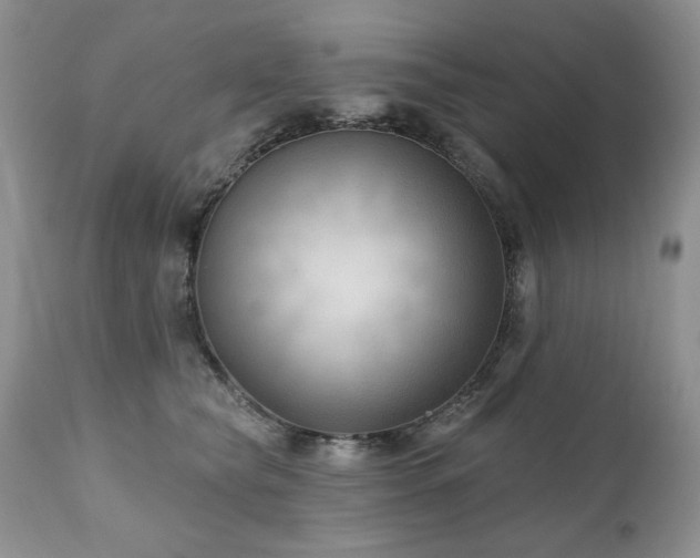 X0000111040565200906251405