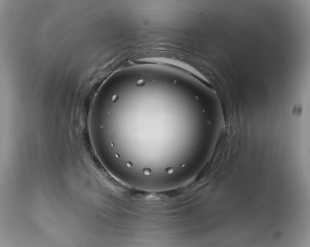 X0000111040566200906251405