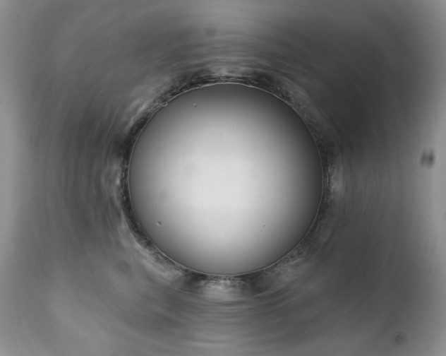 X0000111040567200906251405