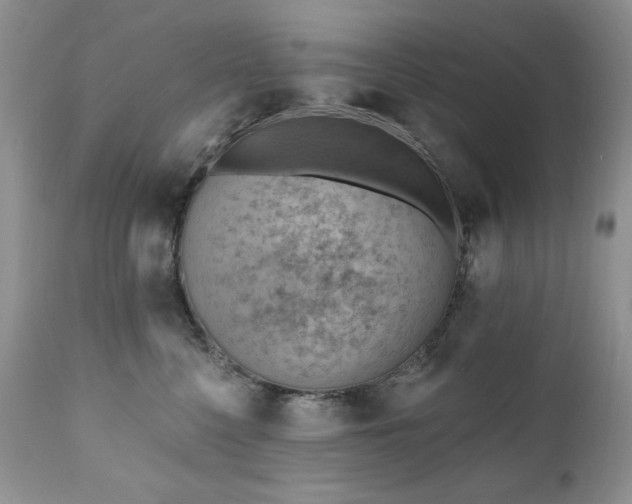 X0000111040568200906251405
