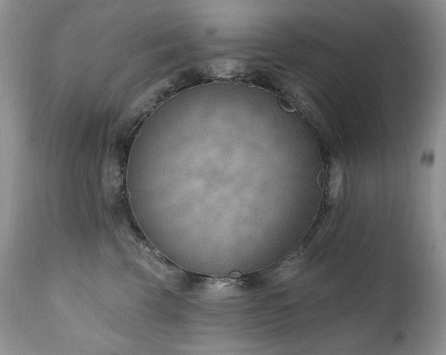X0000111040569200906251405