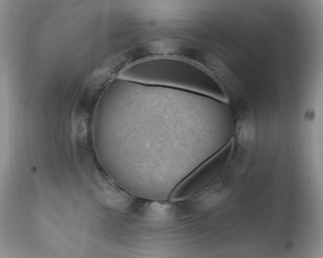 X0000111040570200906251405