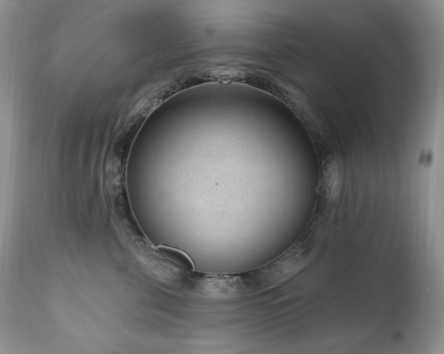 X0000111040571200906251405