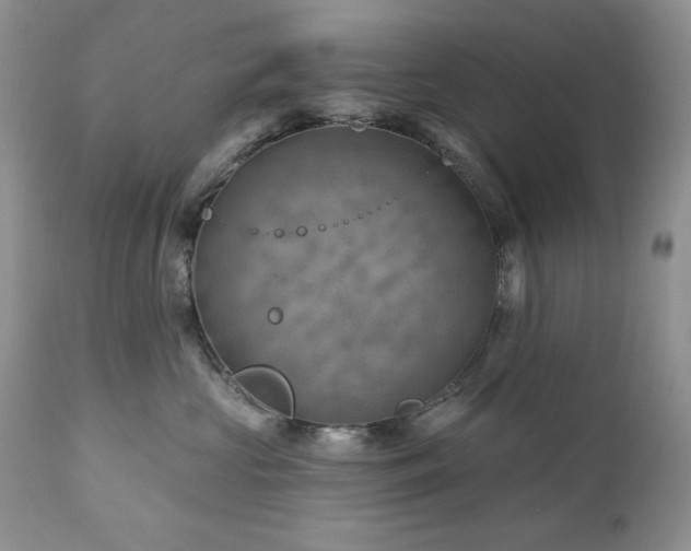 X0000111040573200906251405