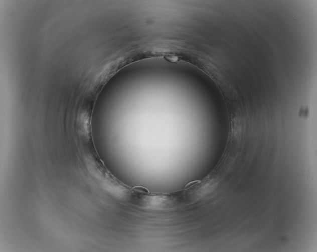 X0000111040575200906251405