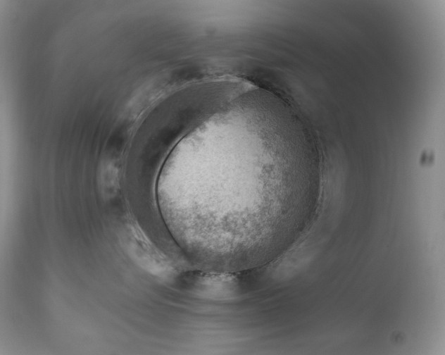 X0000111040576200906251405