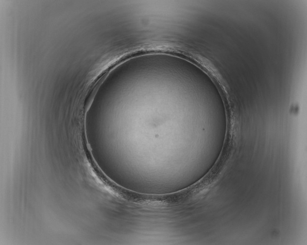 X0000111040577200906251404