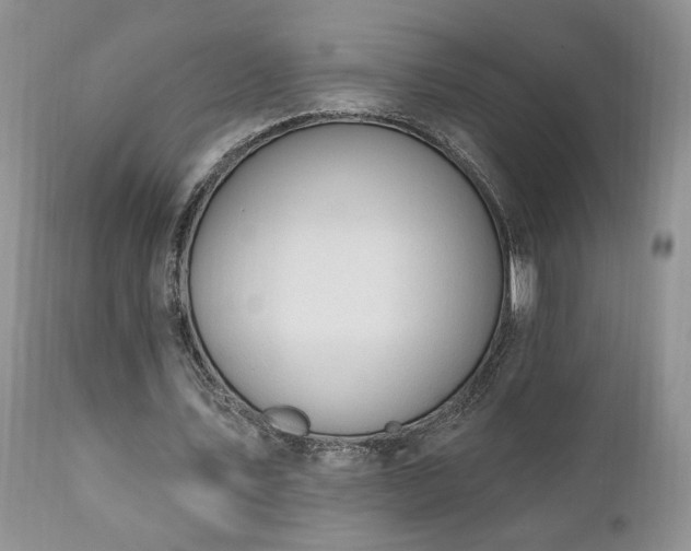 X0000111040579200906251404