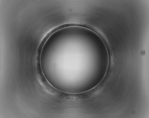 X0000111040580200906251404