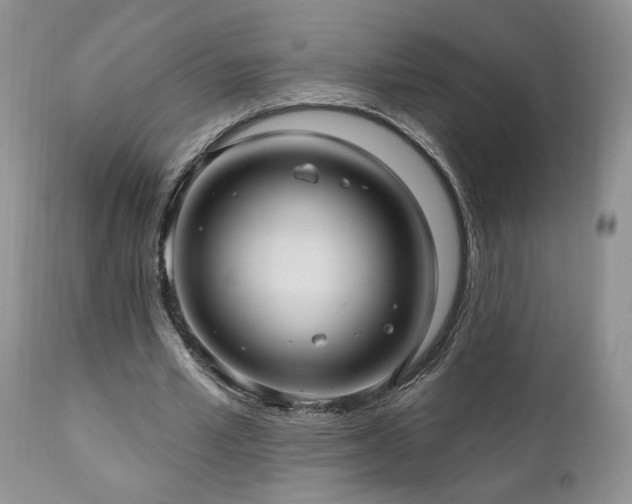 X0000111040581200906251404