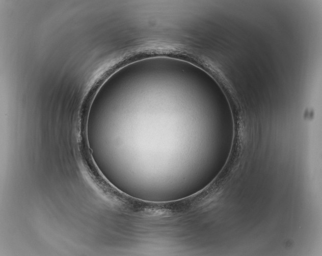X0000111040582200906251404