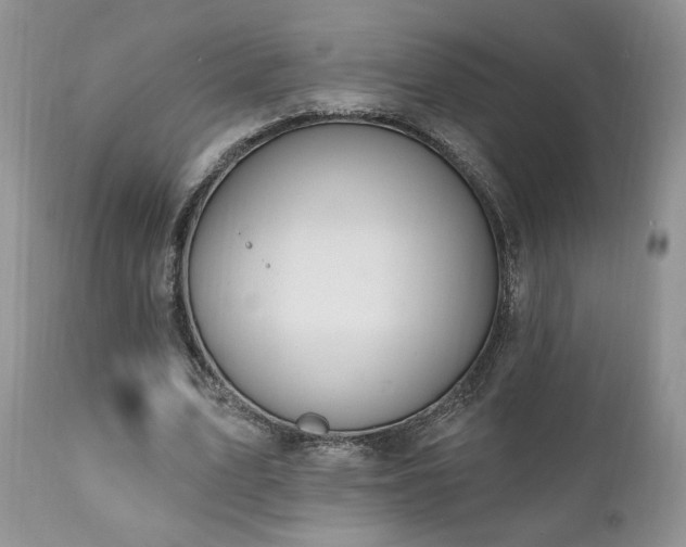 X0000111040583200906251404