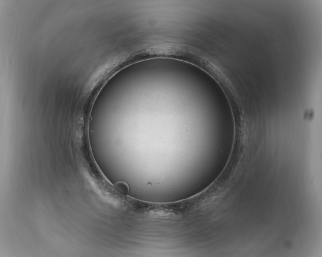 X0000111040586200906251404