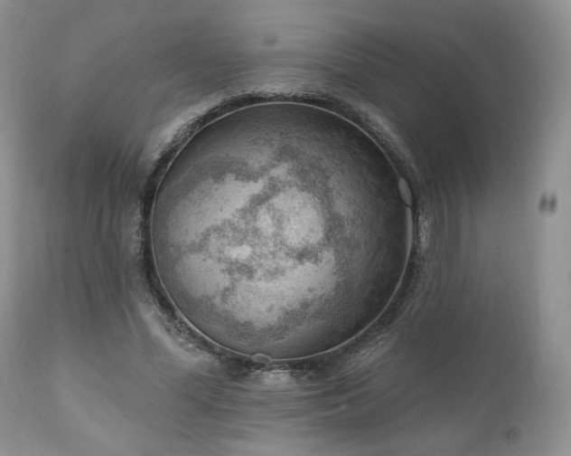 X0000111040588200906251404