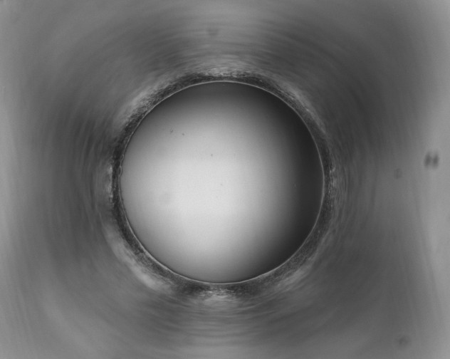 X0000111040589200906251404