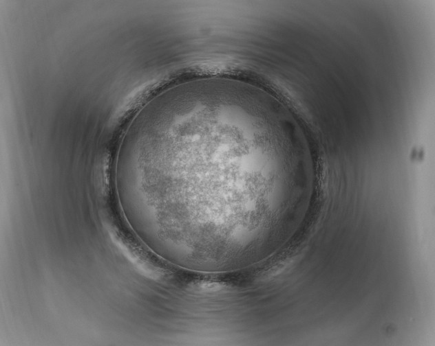 X0000111040590200906251404