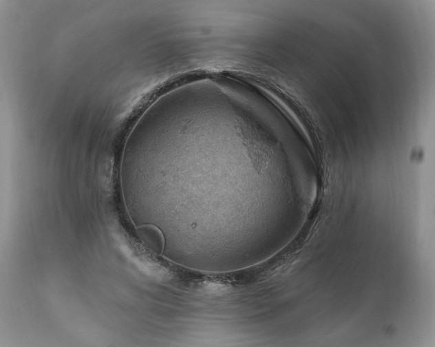 X0000111040592200906251404