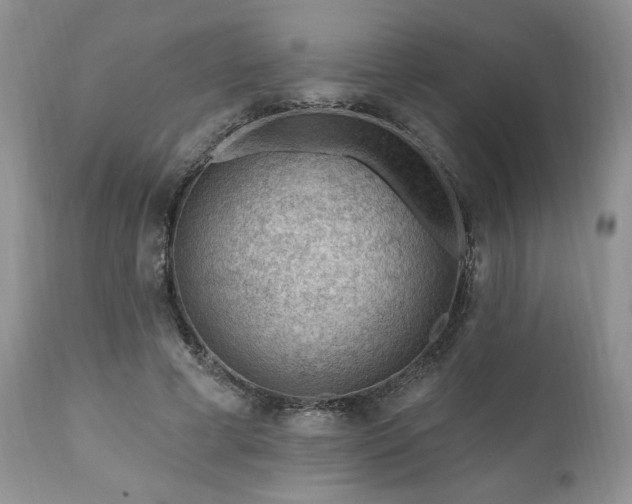 X0000111040593200906251404