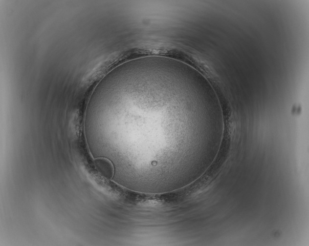 X0000111040594200906251404