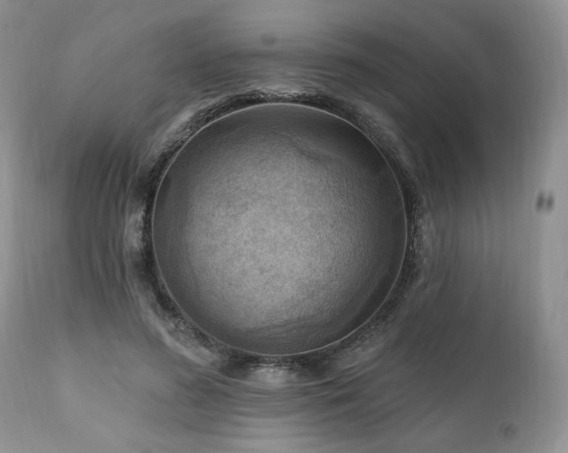 X0000111040596200906251404