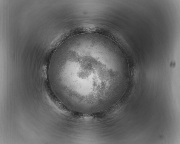 X0000111040598200906251404