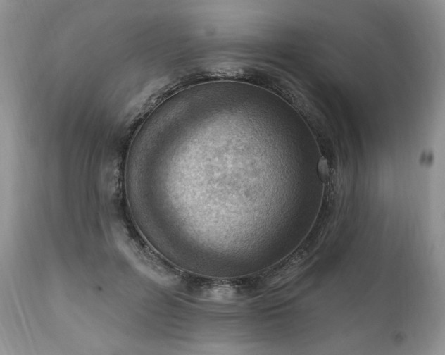X0000111040600200906251404