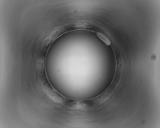 X0000111040601200906251404