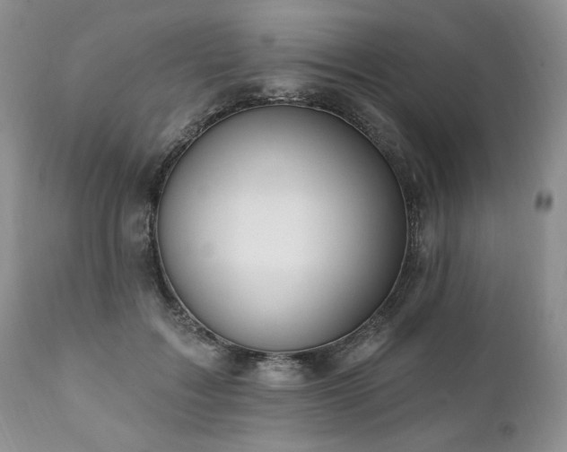 X0000111040603200906251403