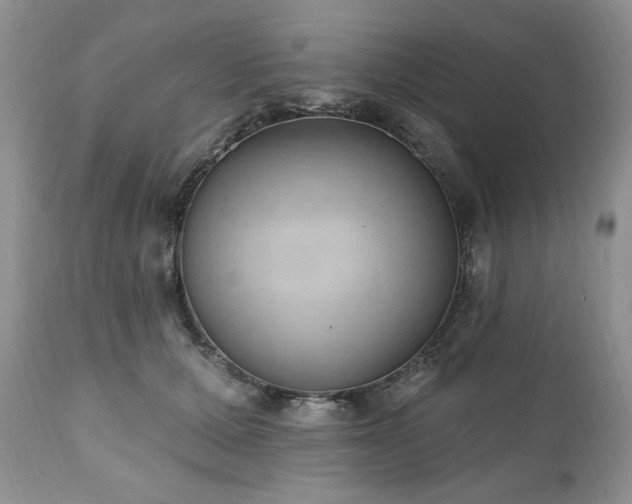 X0000111040607200906251403
