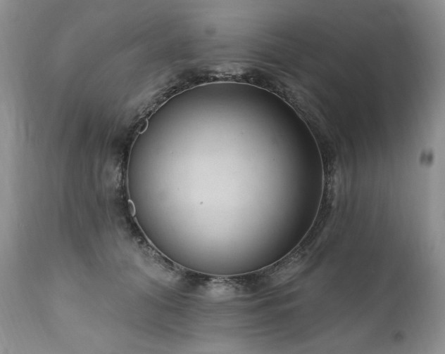 X0000111040608200906251403