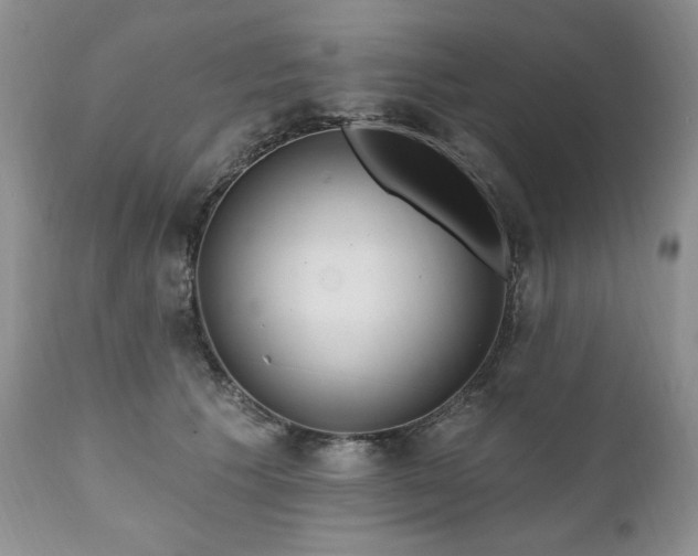 X0000111040609200906251403