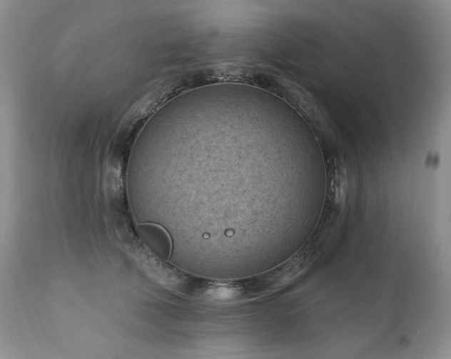 X0000111040610200906251403