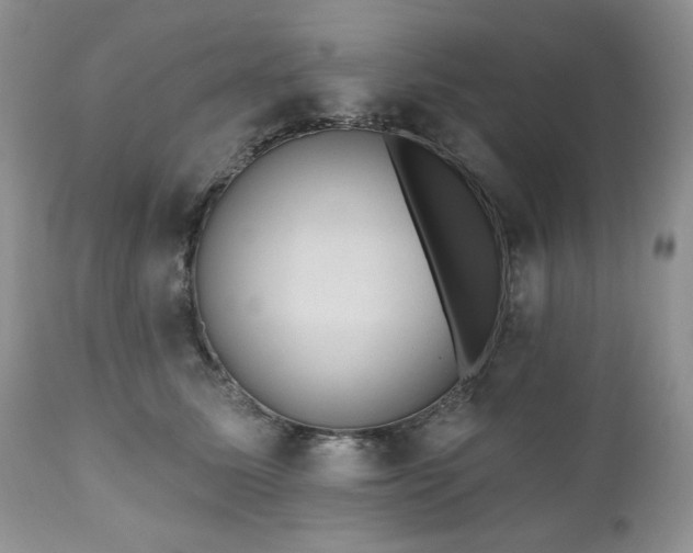 X0000111040611200906251403