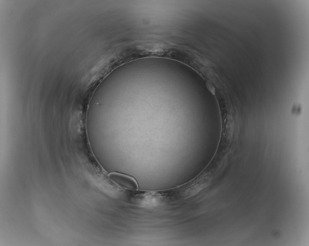 X0000111040612200906251403