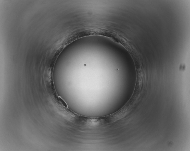 X0000111040613200906251403