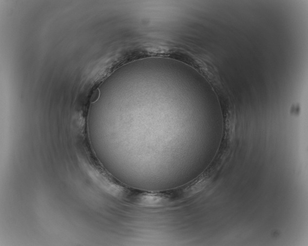 X0000111040614200906251403