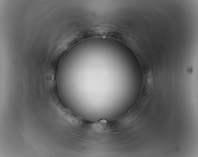 X0000111040615200906251403