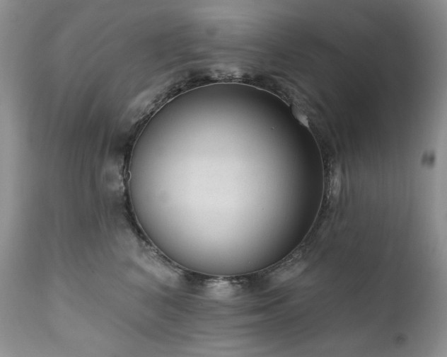X0000111040616200906251403