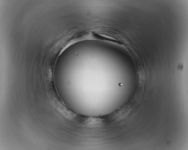 X0000111040617200906251403