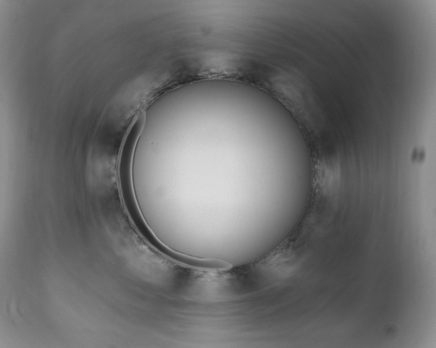 X0000111040621200906251403