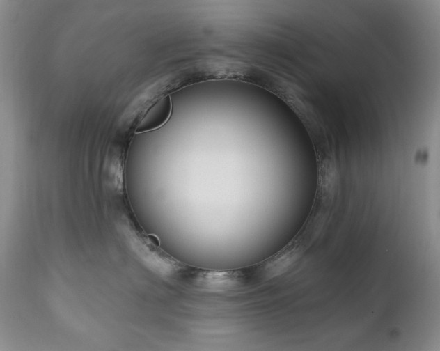 X0000111040622200906251403
