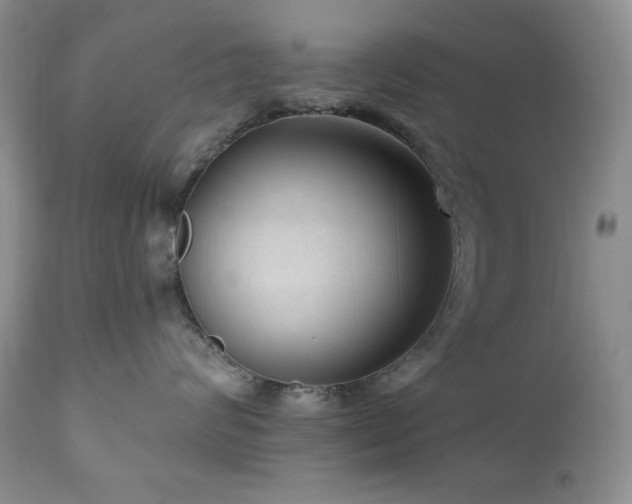 X0000111040624200906251403