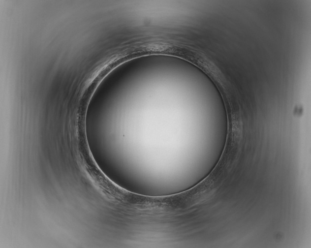 X0000111040626200906251402