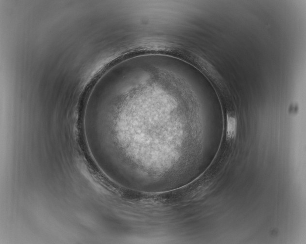 X0000111040627200906251402
