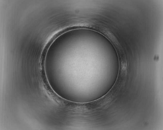 X0000111040628200906251402