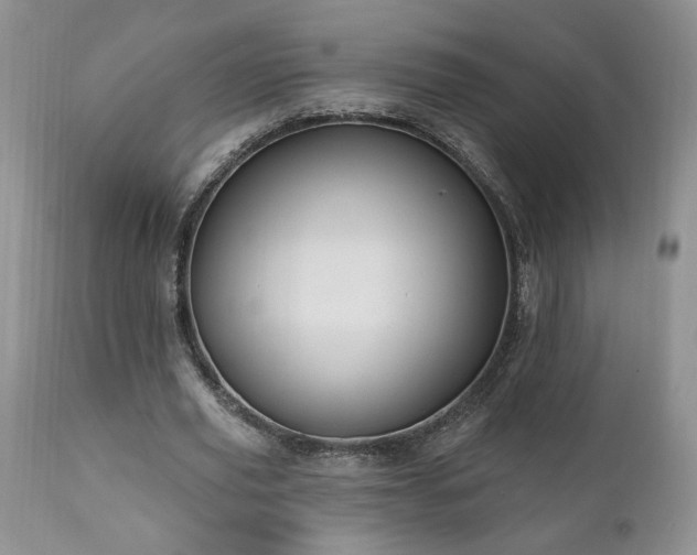 X0000111040629200906251402