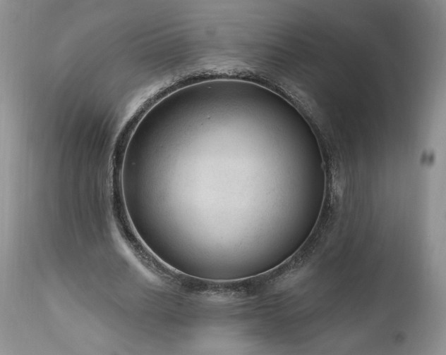 X0000111040630200906251402