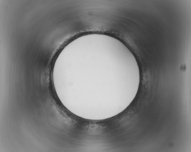 X0000111040632200906251402