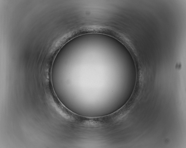 X0000111040633200906251402