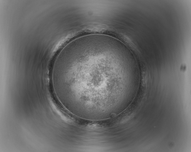 X0000111040634200906251403